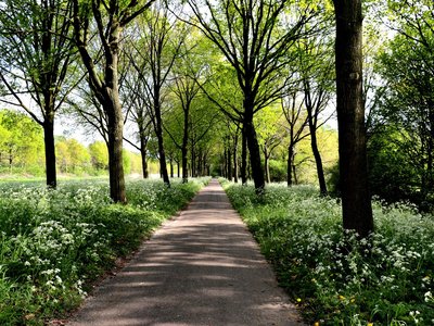 Voorjaar in Veenendaal