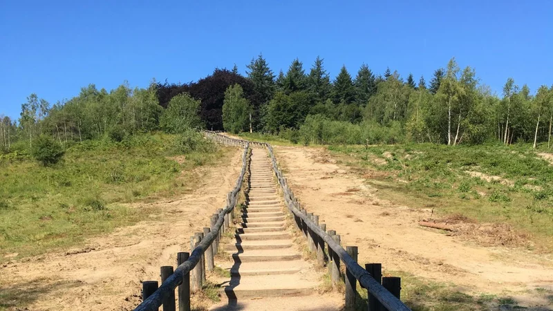 Kwintelooijen, een uniek natuurgebied vlakbij Veenendaal